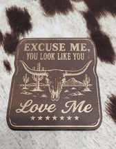 "Excuse Me, You Look Like You Love Me" Leatherette Patch – Southwestern Longhorn Skull, Cactus & Mountains Design Rustic Brown and Gold