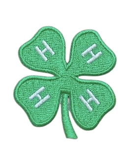 4 H